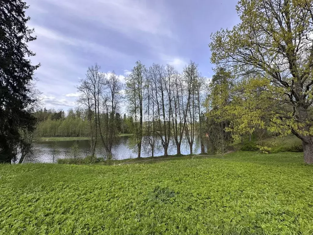 Участок в Ленинградская область, Гатчинский муниципальный округ, ... - Фото 2