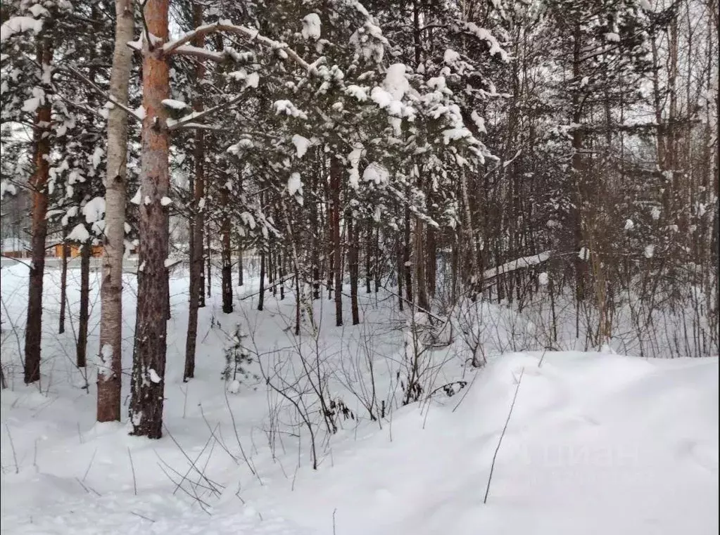 Участок в Московская область, Ликино-Дулево Орехово-Зуевский городской ... - Фото 1