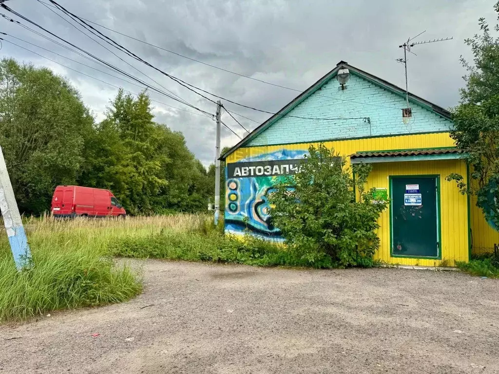 Торговая площадь в Московская область, Раменский муниципальный округ, ... - Фото 1