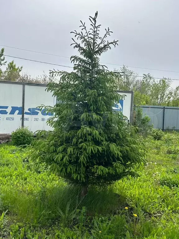 Дача 30 м на участке 6,9 сот. - Фото 0