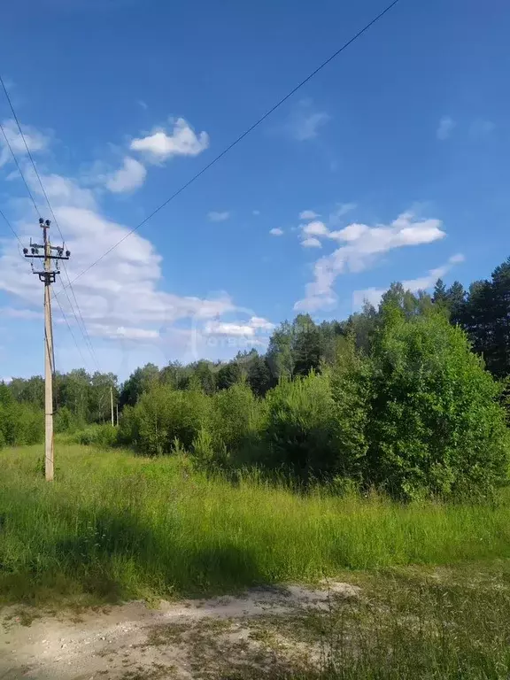 Участок 11,2 сот. (личное подсобное хозяйство (лпх)) - Фото 0