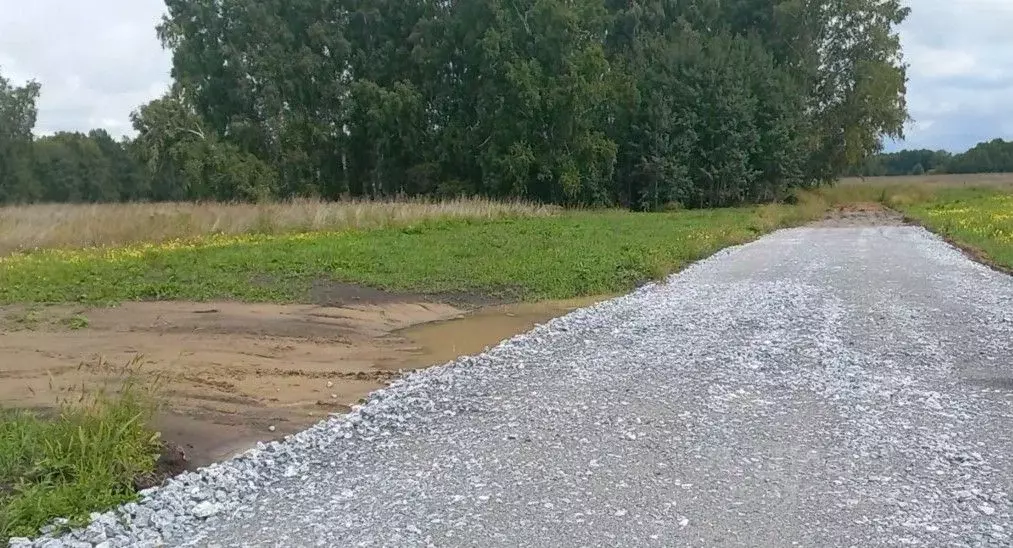 Участок в Новосибирская область, Новосибирский район, Морской ... - Фото 2