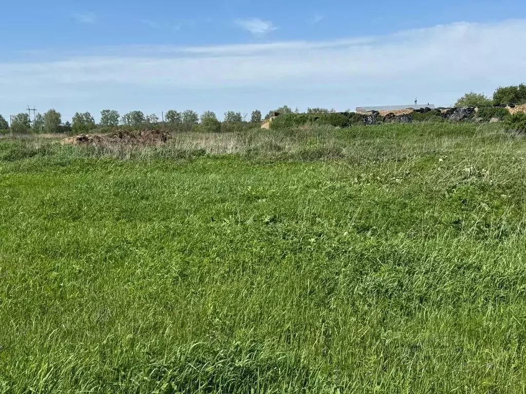 Участок в Московская область, Богородский городской округ, д. Ново  ... - Фото 0