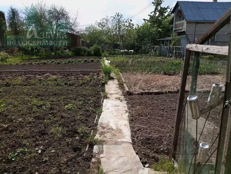 Участок в Смоленская область, Смоленский муниципальный округ, Аушра ... - Фото 1