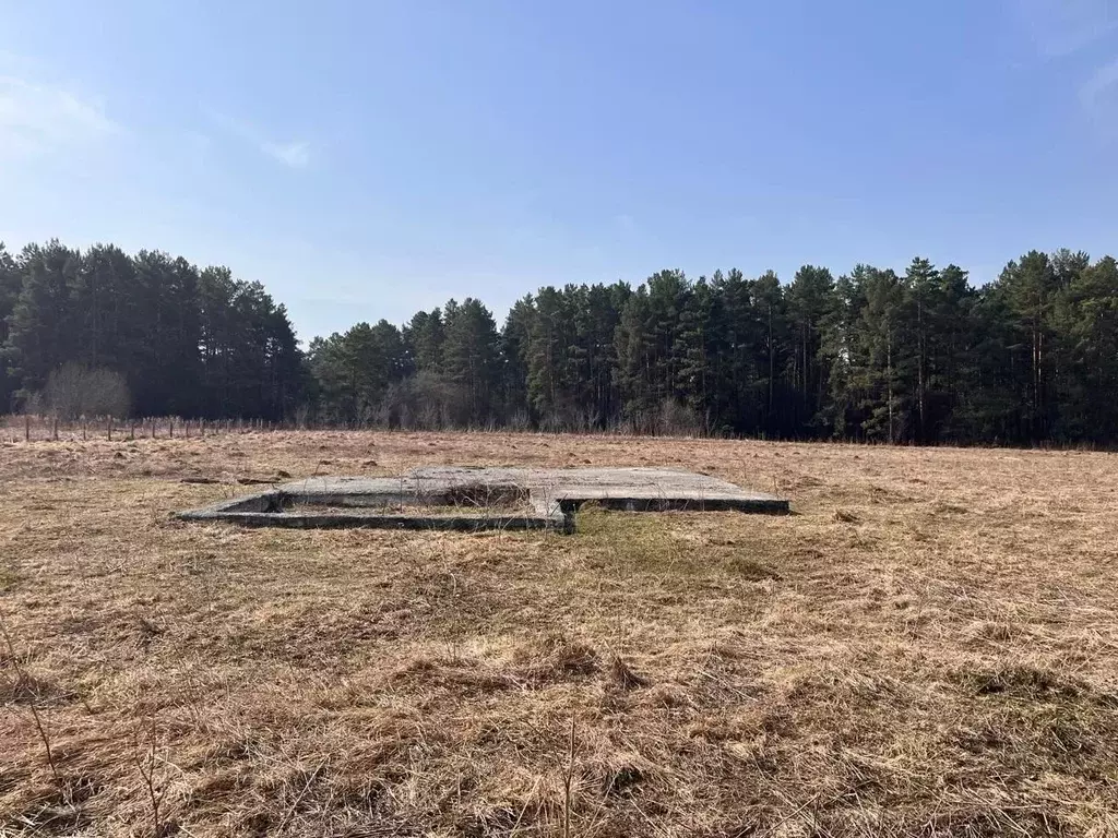Участок в Новосибирская область, Тогучинский район, с. Усть-Каменка ... - Фото 0