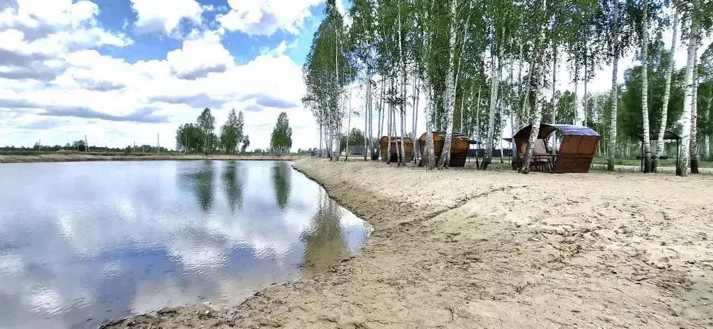 Участок в Тюменская область, Нижнетавдинский район, Тюневское с/пос, 7 ... - Фото 0