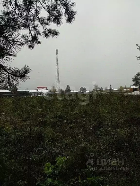 Участок в Архангельская область, Котлас муниципальное образование, д. ... - Фото 1