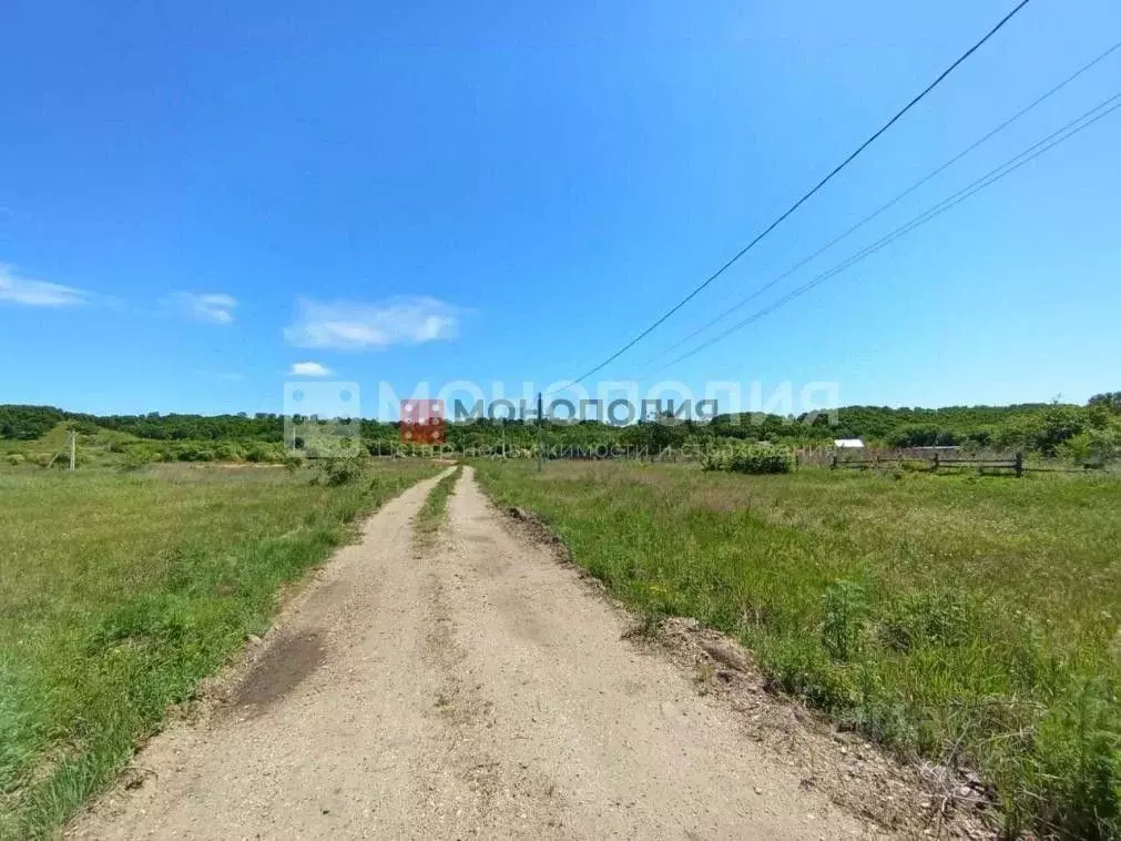 Участок в Амурская область, Серышевский муниципальный округ, с. ... - Фото 1