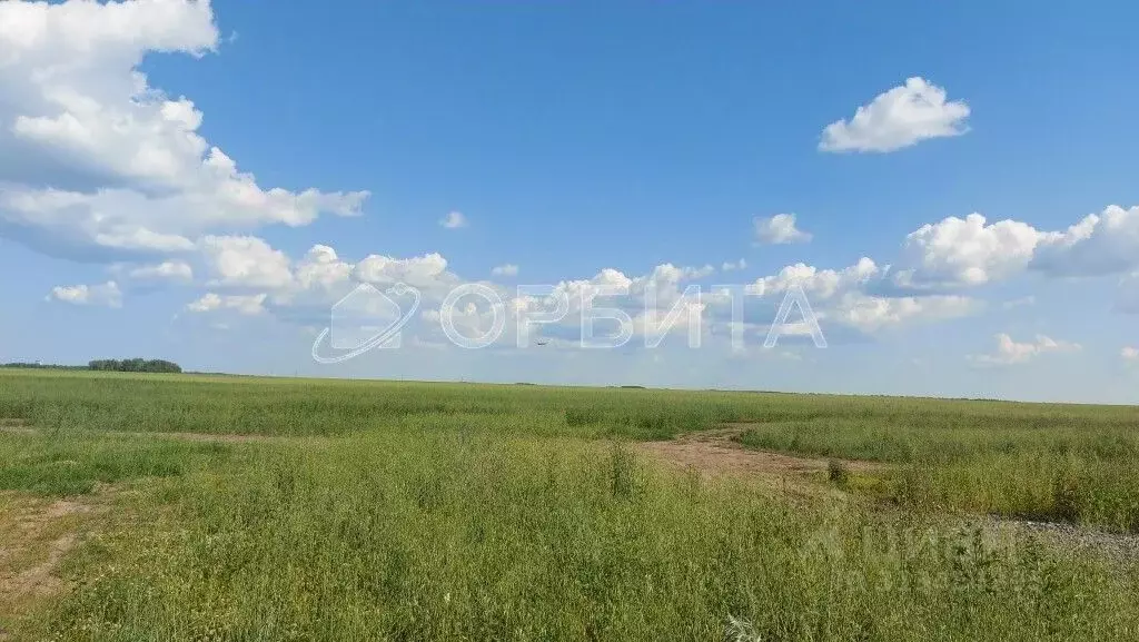 Участок в Тюменская область, Тюменский район, с. Каменка  (8.0 сот.) - Фото 1