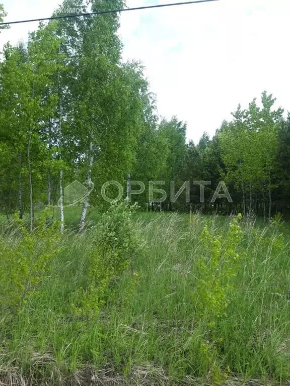 Участок в Тюменский район, деревня Ушакова, микрорайон Молодёжный (9 ... - Фото 1