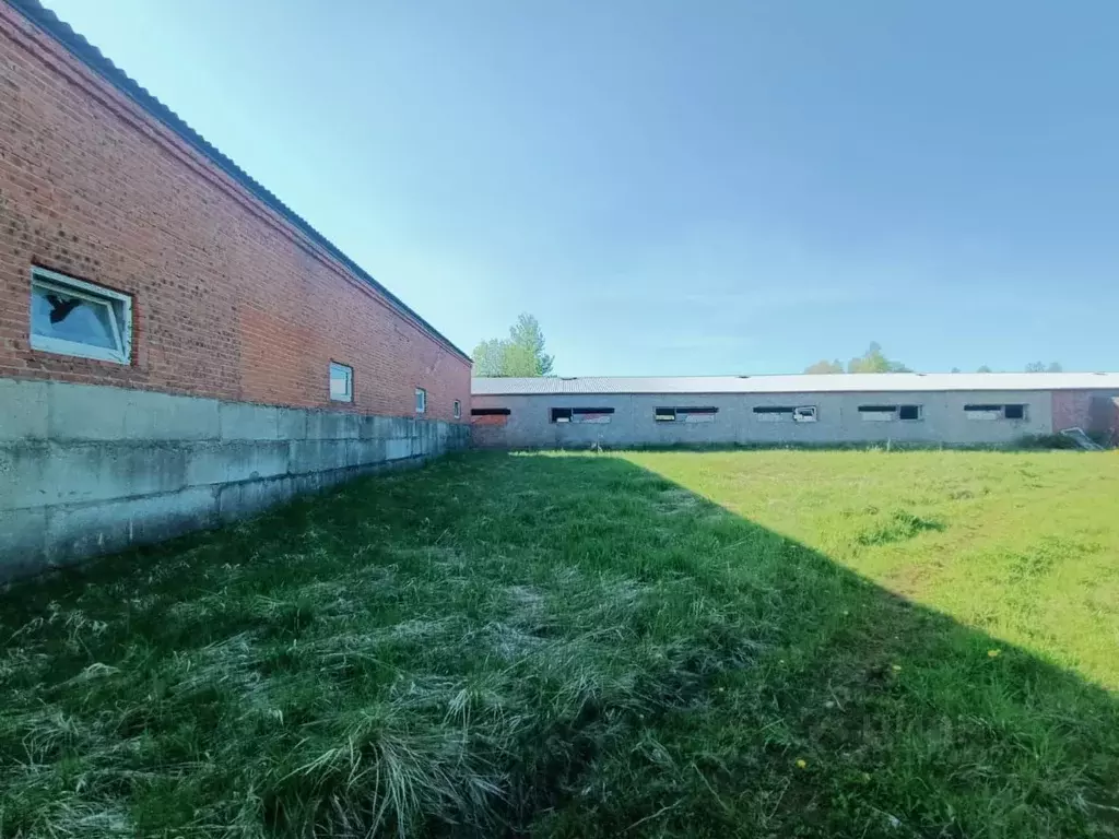 Производственное помещение в Московская область, Талдомский городской ... - Фото 2