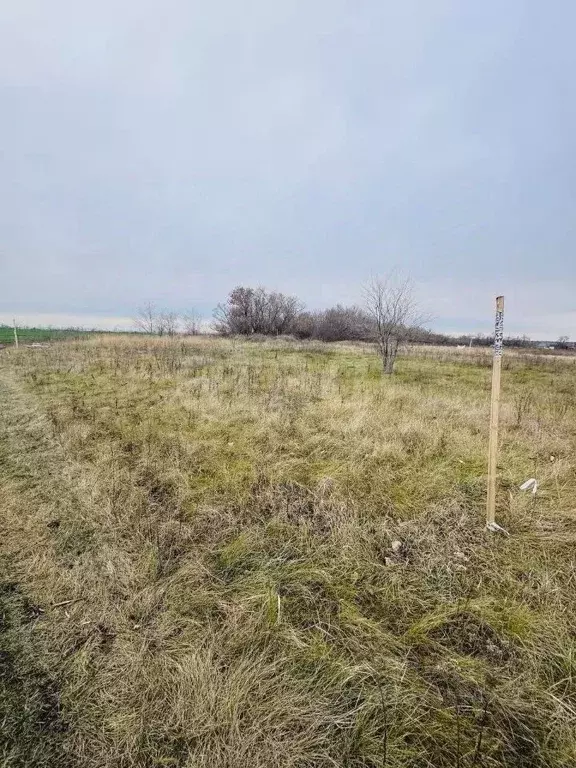 Участок в Воронежская область, Воронеж Подклетный мкр,  (7.94 сот.) - Фото 1