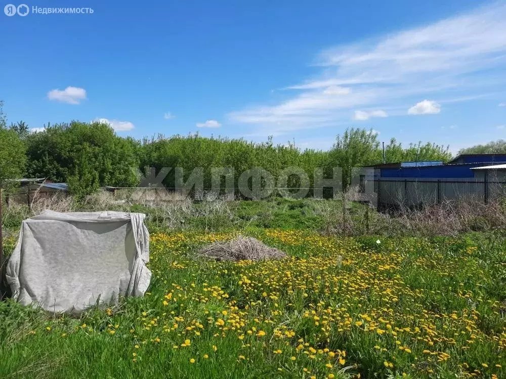 Участок в Новосибирск, Коуракская улица (11.3 м) - Фото 1