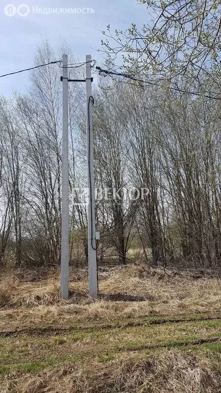 Участок в Ивановский район, Коляновское сельское поселение, деревня ... - Фото 1