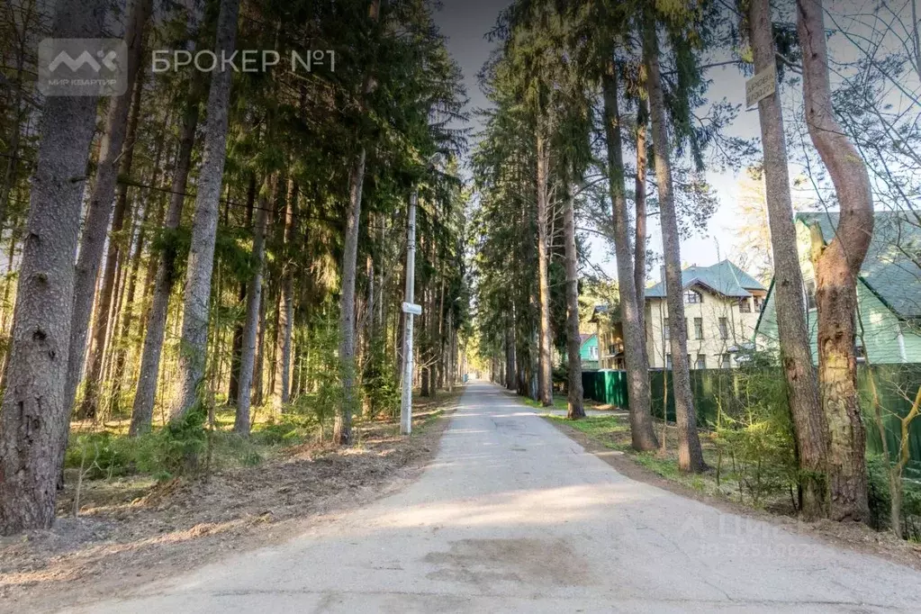 Участок в Санкт-Петербург, Санкт-Петербург, Зеленогорск ул. 1-я ... - Фото 2