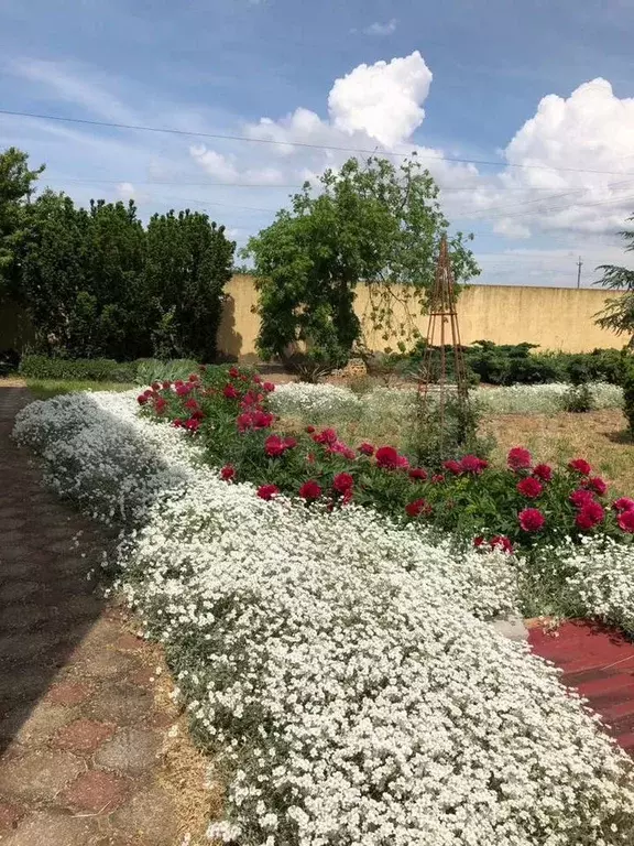 Дача 90 м на участке 10 сот. - Фото 1