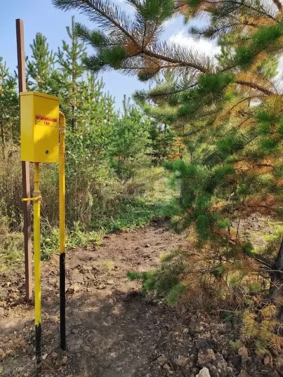 Дом в Курганская область, Кетовский муниципальный округ, с. ... - Фото 1