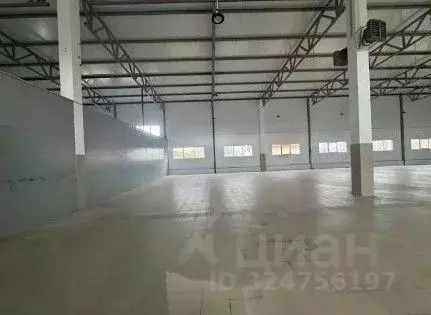 Склад в Ленинградская область, Отрадное Кировский район, Ленинградское ... - Фото 1