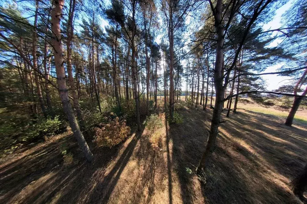Участок в деревня Стулово (6.64 м) - Фото 1