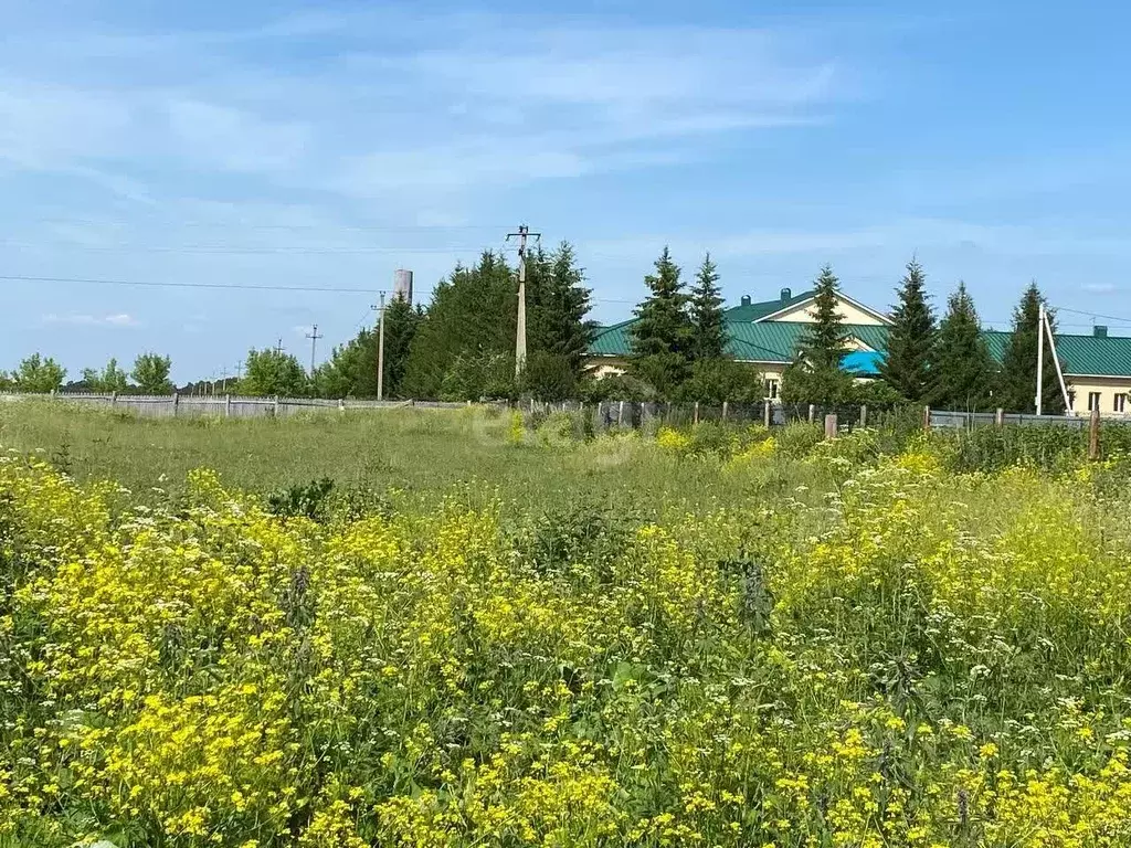 Участок в Башкортостан, Архангельский район, Липовский сельсовет, с. ... - Фото 2