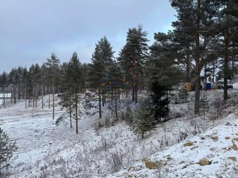 Участок в Московская область, Одинцовский городской округ, д. Большое ... - Фото 0