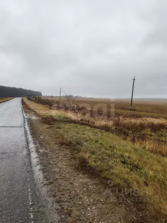 Участок в Мордовия, Большеберезниковский район, с. Пермиси Московская ... - Фото 1