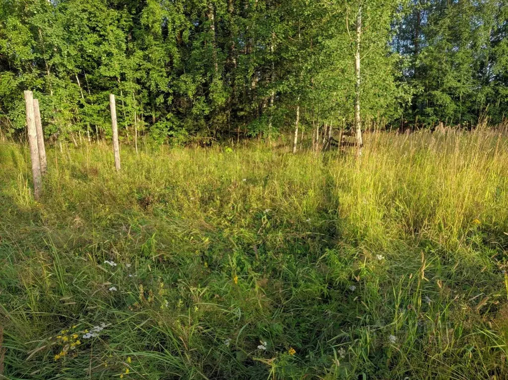 новый фап в коми. коми поселок визябож. поселок визябож. пос визябож. погода визябож коми.