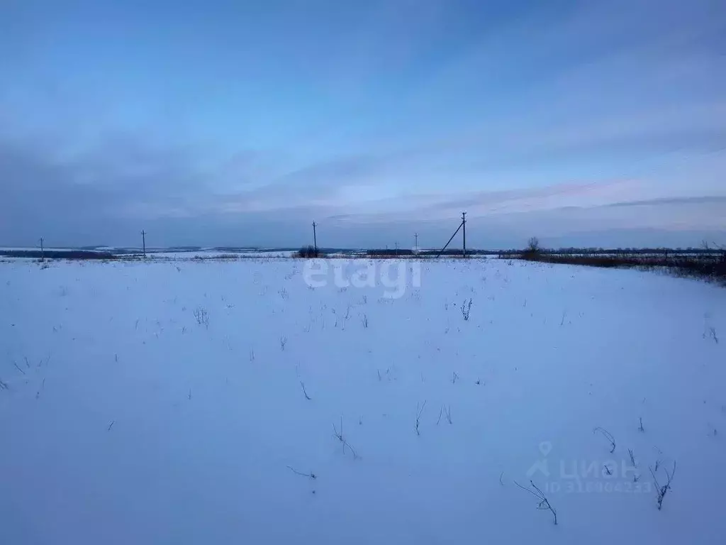 Участок в Белгородская область, Губкинский городской округ, с. Юшково  ... - Фото 0