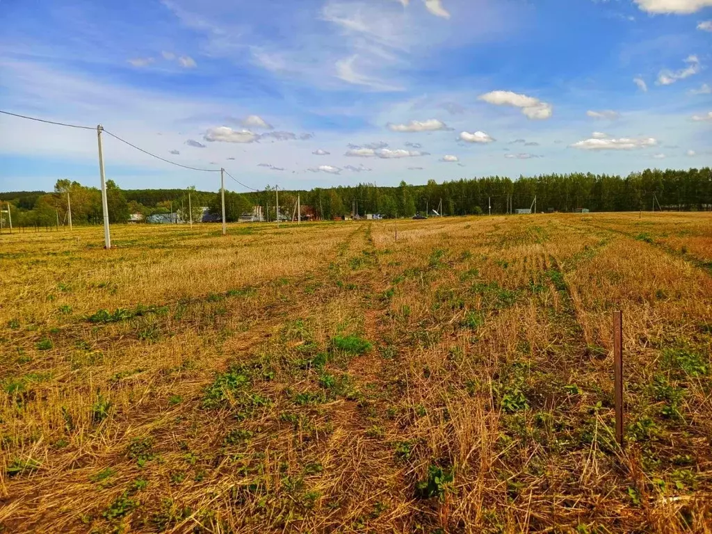 Участок в Башкортостан, Иглинский район, Калтымановский сельсовет, с. ... - Фото 2