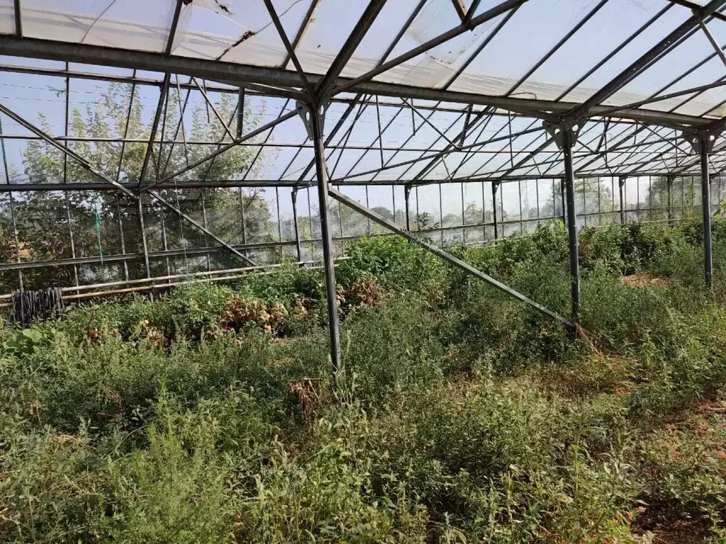 Производственное помещение в Адыгея, Красногвардейский район, ... - Фото 1