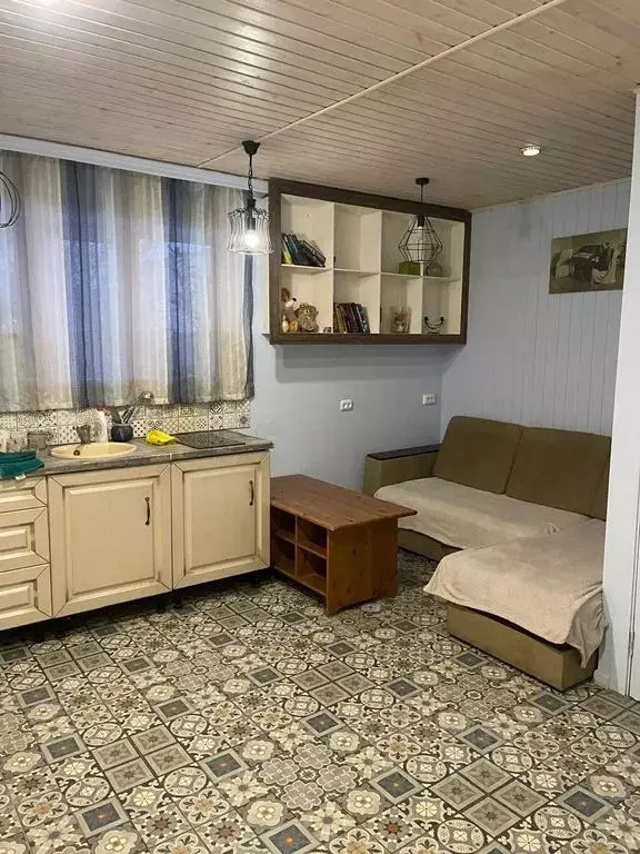 Дом в Орловская область, Ливны Песочный пер., 40А (38 м) - Фото 2