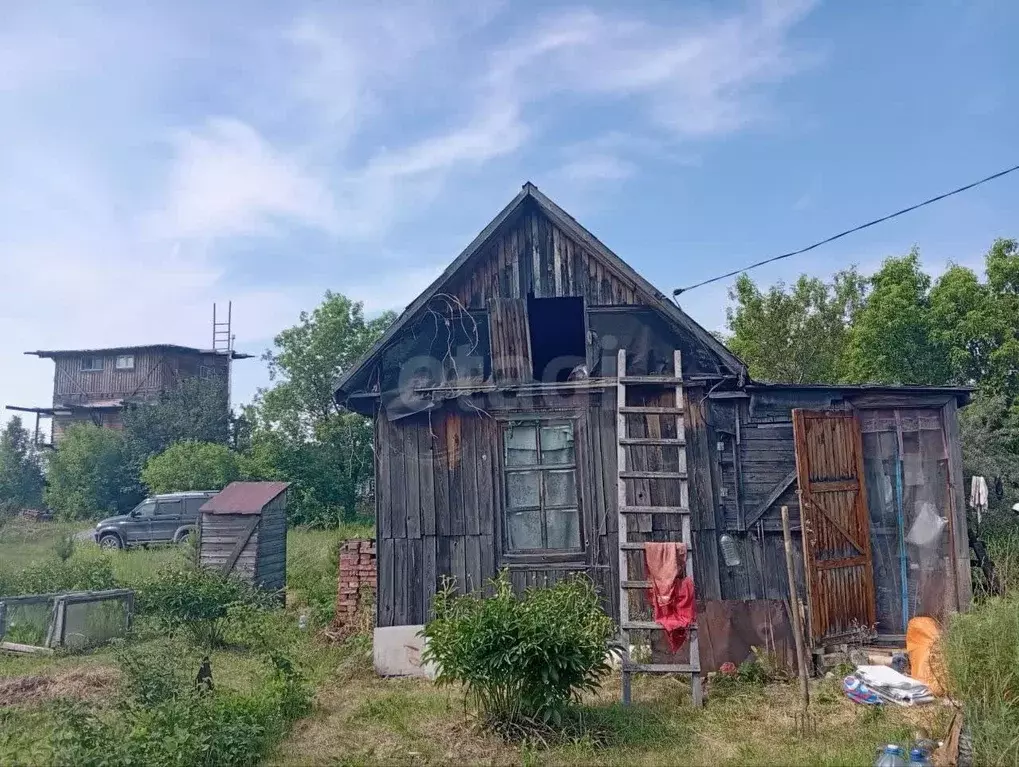 Участок в Новосибирская область, Искитимский район, Чернореченский ... - Фото 1
