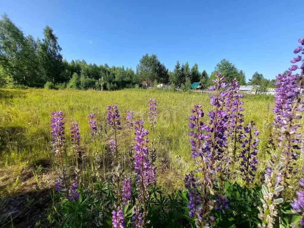 Участок в Коми, Корткеросский район, Додзь муниципальное образование, ... - Фото 1