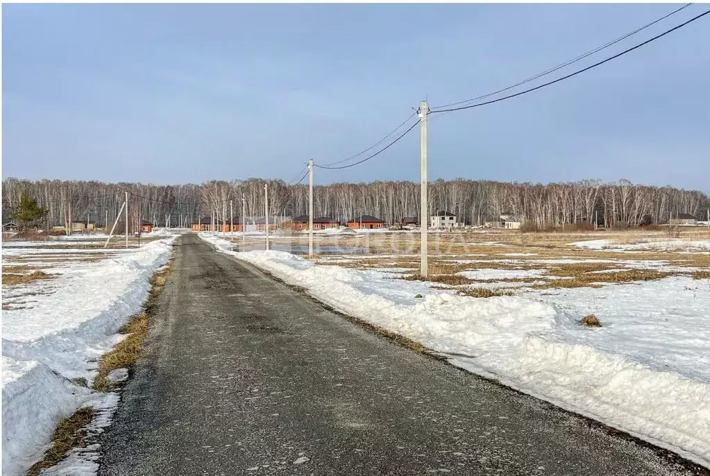 Участок в Новосибирская область, Новосибирский район, Криводановский ... - Фото 1