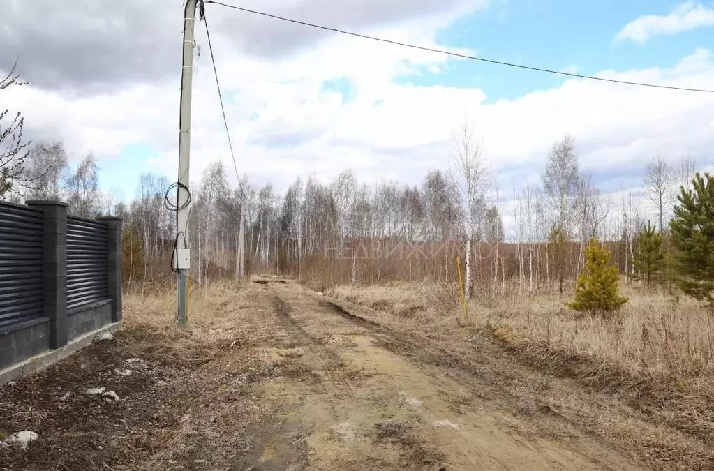 Участок в Тюменская область, Нижнетавдинский район, Царицыно СНТ ул. ... - Фото 0