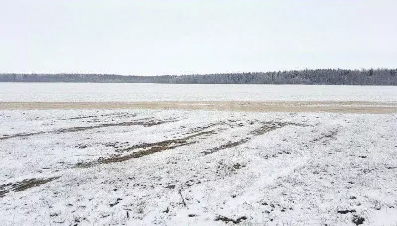 Участок в Ярославская область, Ярославский муниципальный округ, с. ... - Фото 2