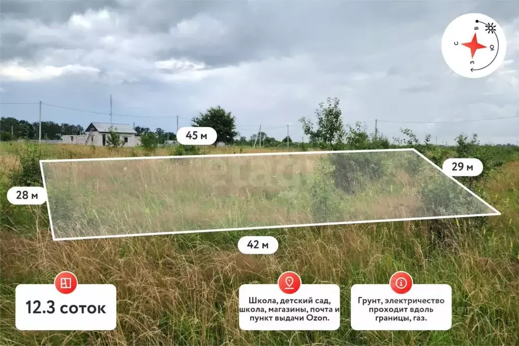 Участок в Калининградская область, Багратионовский муниципальный ... - Фото 1