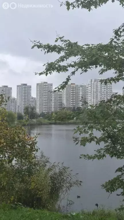 2-комнатная квартира: Санкт-Петербург, Малая Бухарестская улица, 10к1 ... - Фото 1
