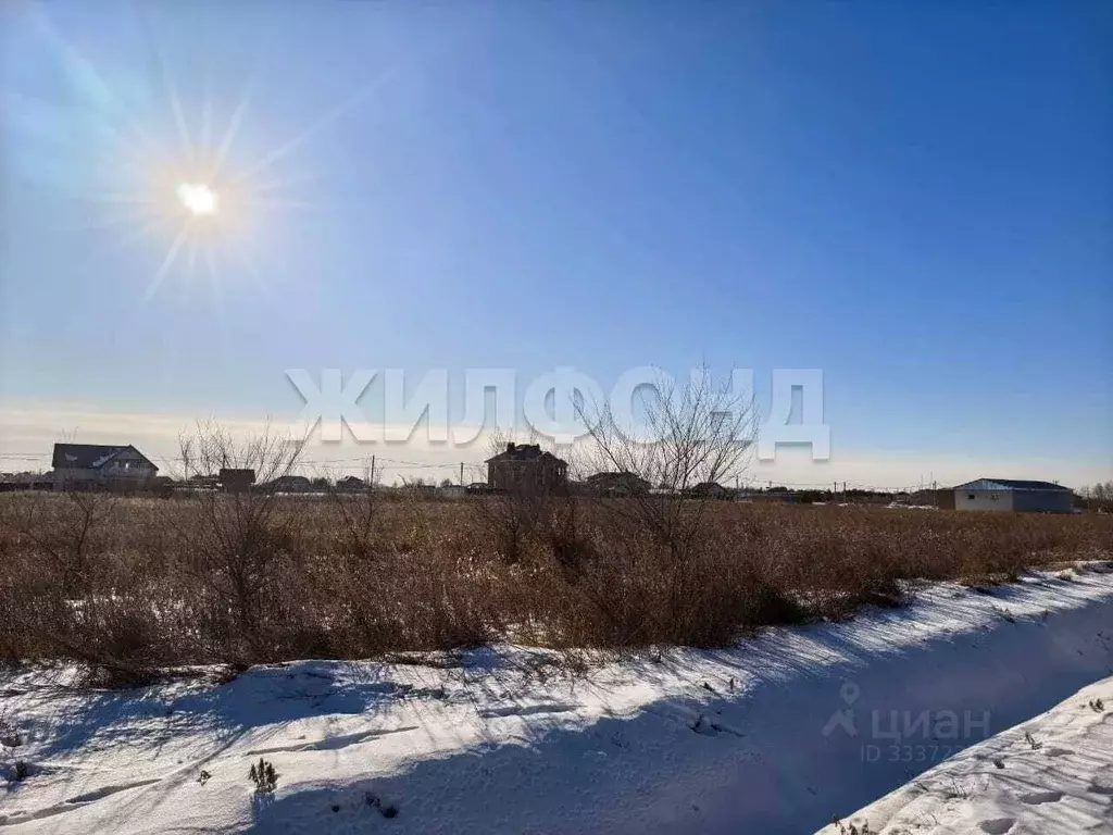 Участок в Амурская область, Благовещенский район, с. Владимировка  ... - Фото 2