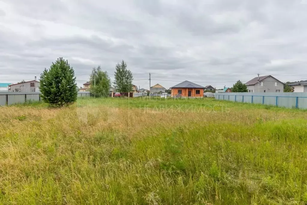 Участок в Тюменская область, Тюменский муниципальный округ, с. Чикча, ... - Фото 1