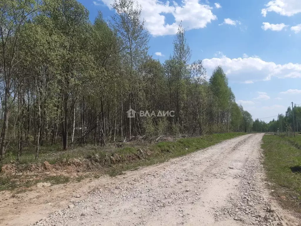 Участок в Калужская область, Калуга городской округ, д. Груздово ул. ... - Фото 2
