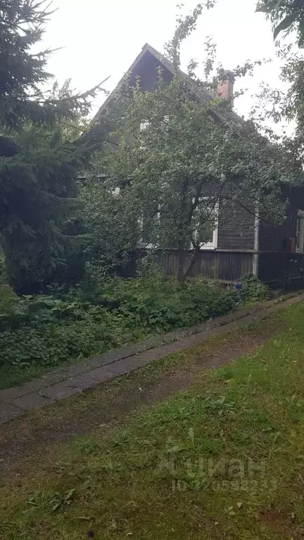 Участок в Санкт-Петербург Лахта тер., ул. Приморская, 17 (11.7 сот.) - Фото 1