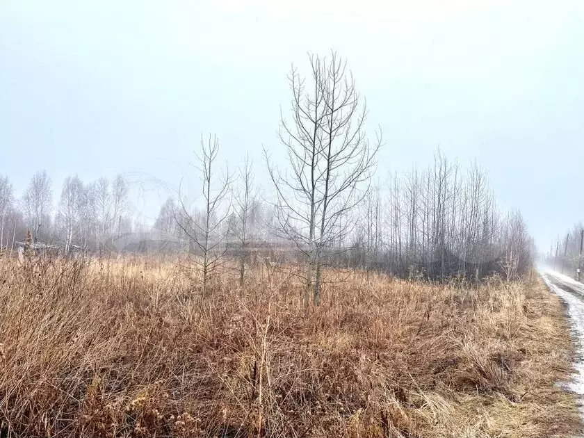 Участок 10 сот. (СНТ, ДНП) - Фото 1