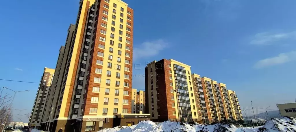 3-к кв. Красноярский край, Красноярск ул. Академгородок, 66 (65.3 м) - Фото 0
