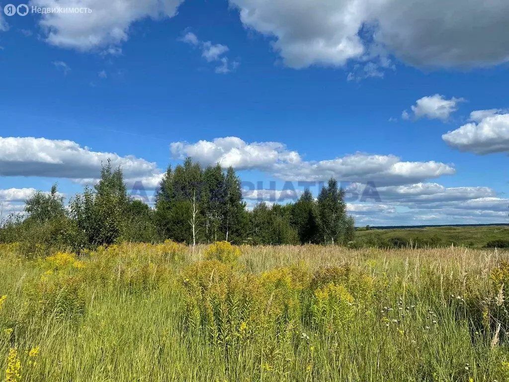 Участок в Ярославская область, Переславль-Залесский (7.2 м) - Фото 2