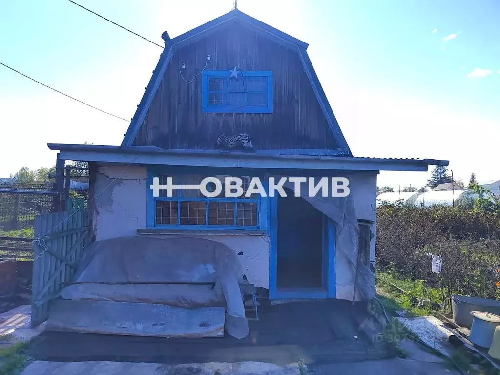 Дом в Новосибирская область, Новосибирск Рассвет садовое товарищество, ... - Фото 1