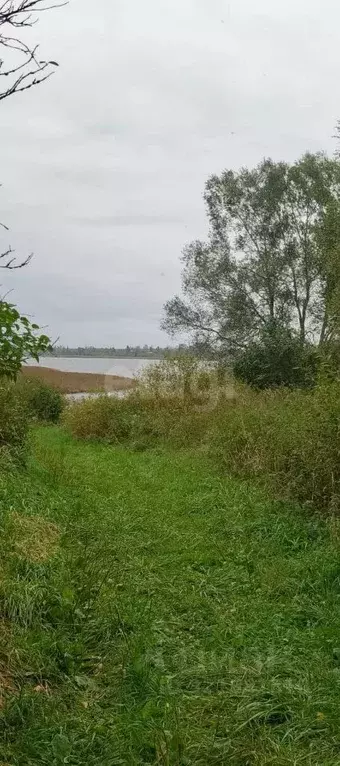 Участок в Псковская область, Палкинская волость, д. Бехтерево  (15.0 ... - Фото 1