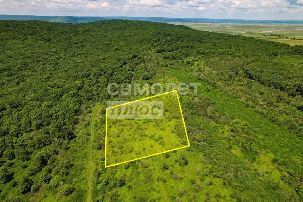 Участок в Приморский край, Надеждинский район, Опережающего ... - Фото 0