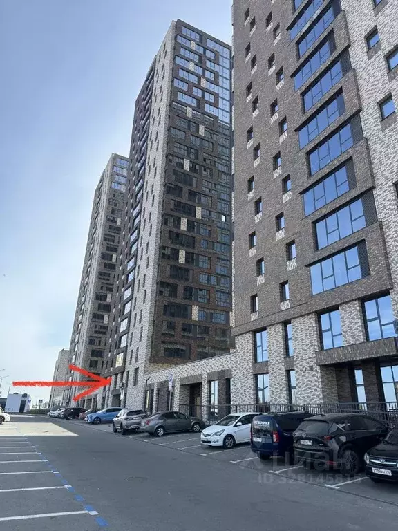 Помещение свободного назначения в Татарстан, Казань Бухарская ул., ... - Фото 2