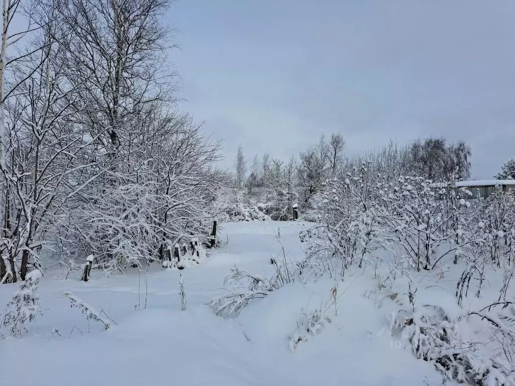 Участок в Вологодская область, Междуреченский муниципальный округ, д. ... - Фото 0